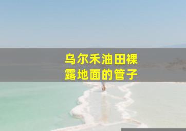 乌尔禾油田裸露地面的管子