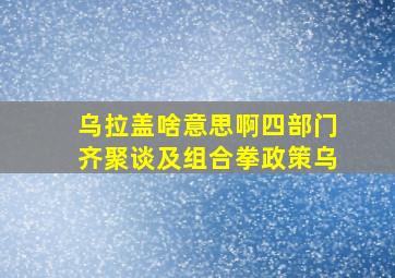 乌拉盖啥意思啊四部门齐聚谈及组合拳政策乌