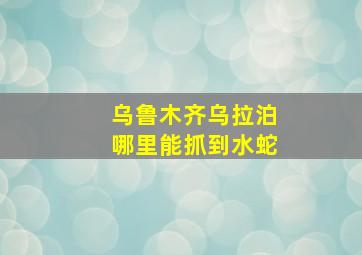 乌鲁木齐乌拉泊哪里能抓到水蛇