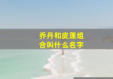 乔丹和皮蓬组合叫什么名字