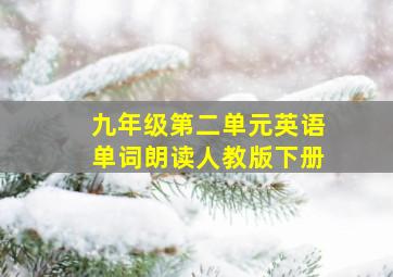 九年级第二单元英语单词朗读人教版下册