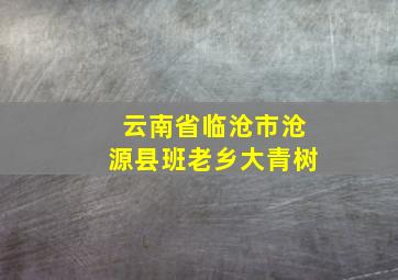 云南省临沧市沧源县班老乡大青树