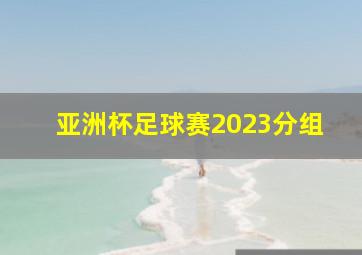 亚洲杯足球赛2023分组