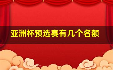 亚洲杯预选赛有几个名额