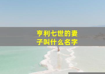 亨利七世的妻子叫什么名字