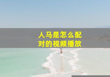 人马是怎么配对的视频播放