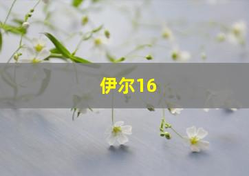 伊尔16