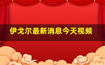 伊戈尔最新消息今天视频