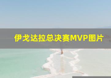 伊戈达拉总决赛MVP图片