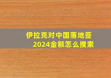 伊拉克对中国落地签2024金额怎么搜索