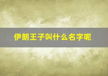 伊朗王子叫什么名字呢