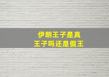 伊朗王子是真王子吗还是假王