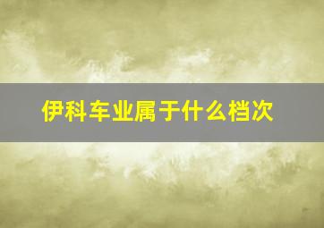 伊科车业属于什么档次