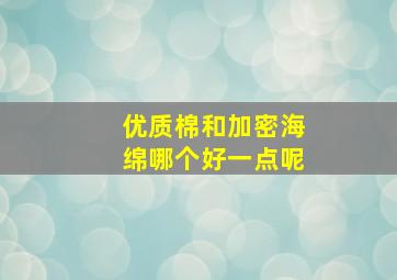 优质棉和加密海绵哪个好一点呢