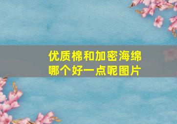 优质棉和加密海绵哪个好一点呢图片