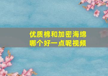 优质棉和加密海绵哪个好一点呢视频