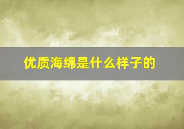 优质海绵是什么样子的