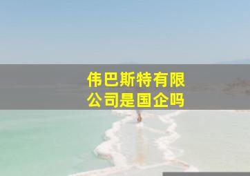 伟巴斯特有限公司是国企吗