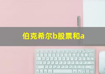 伯克希尔b股票和a