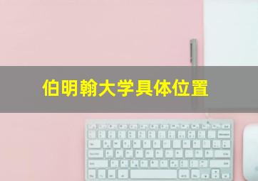 伯明翰大学具体位置