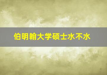 伯明翰大学硕士水不水