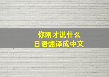 你刚才说什么日语翻译成中文