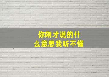 你刚才说的什么意思我听不懂