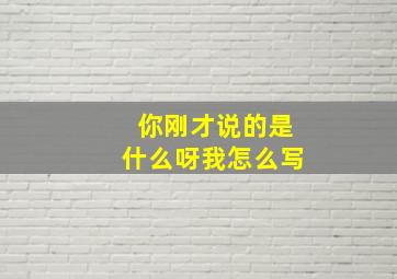 你刚才说的是什么呀我怎么写