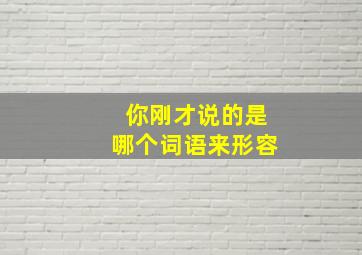 你刚才说的是哪个词语来形容