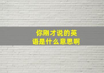 你刚才说的英语是什么意思啊