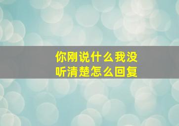 你刚说什么我没听清楚怎么回复