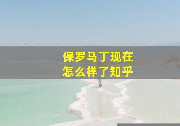 保罗马丁现在怎么样了知乎