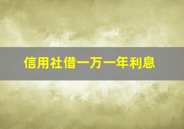 信用社借一万一年利息