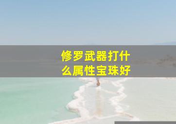 修罗武器打什么属性宝珠好