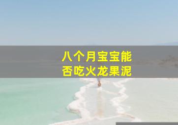 八个月宝宝能否吃火龙果泥