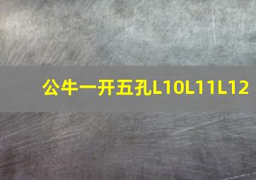 公牛一开五孔L10L11L12