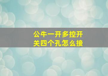 公牛一开多控开关四个孔怎么接