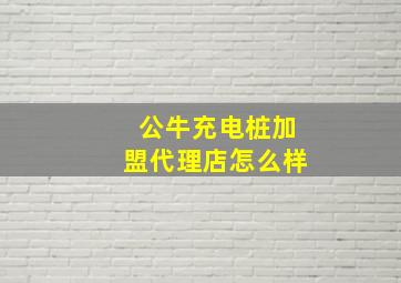 公牛充电桩加盟代理店怎么样