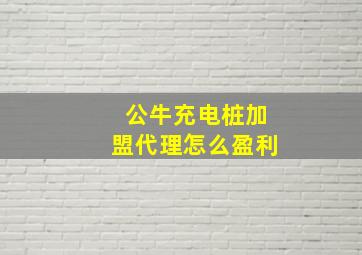 公牛充电桩加盟代理怎么盈利