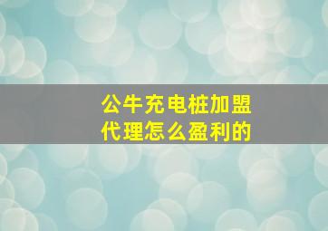 公牛充电桩加盟代理怎么盈利的