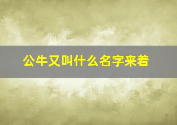 公牛又叫什么名字来着