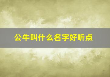 公牛叫什么名字好听点