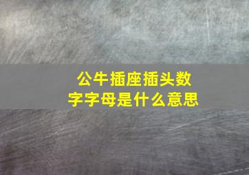 公牛插座插头数字字母是什么意思