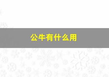 公牛有什么用