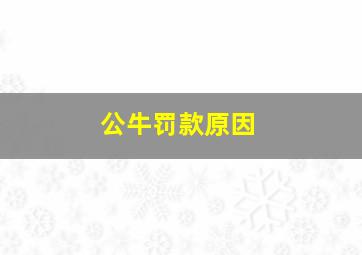 公牛罚款原因