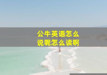 公牛英语怎么说呢怎么读啊