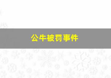 公牛被罚事件