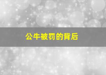 公牛被罚的背后