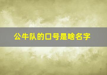 公牛队的口号是啥名字