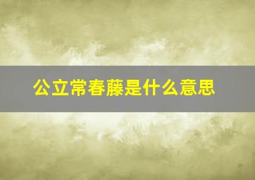 公立常春藤是什么意思